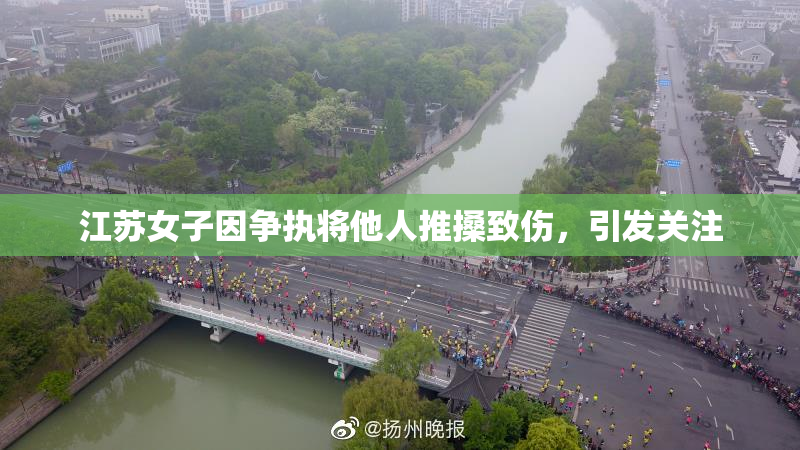 江苏女子因争执将他人推搡致伤，引发关注