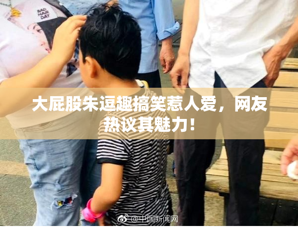 大屁股朱逗趣搞笑惹人爱，网友热议其魅力！