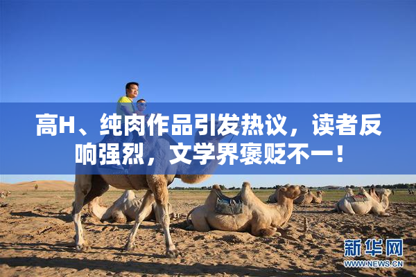 高H、纯肉作品引发热议，读者反响强烈，文学界褒贬不一！
