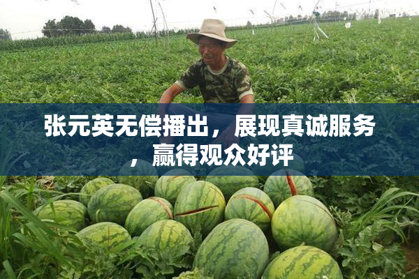 张元英无偿播出，展现真诚服务，赢得观众好评