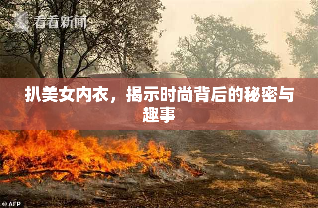 扒美女内衣，揭示时尚背后的秘密与趣事
