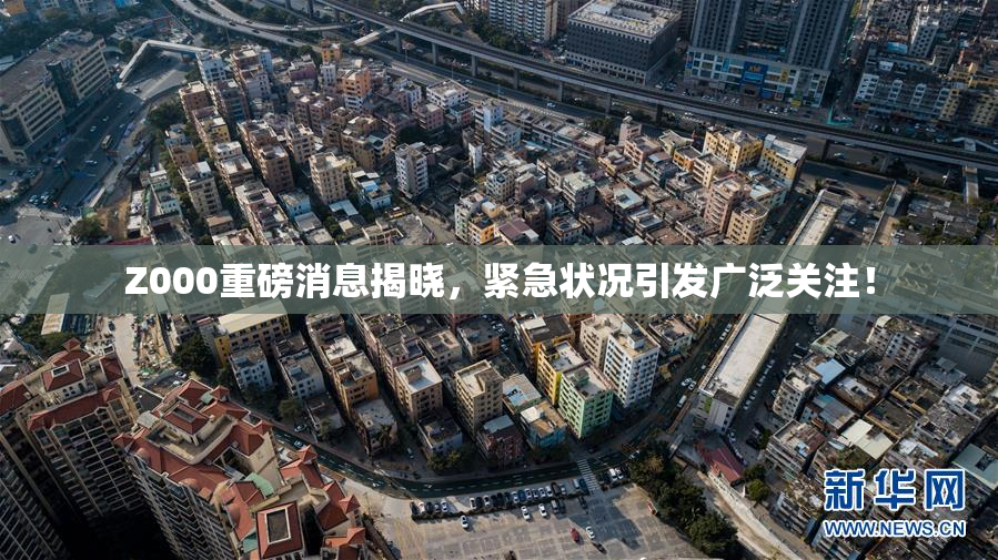 Z000重磅消息揭晓，紧急状况引发广泛关注！