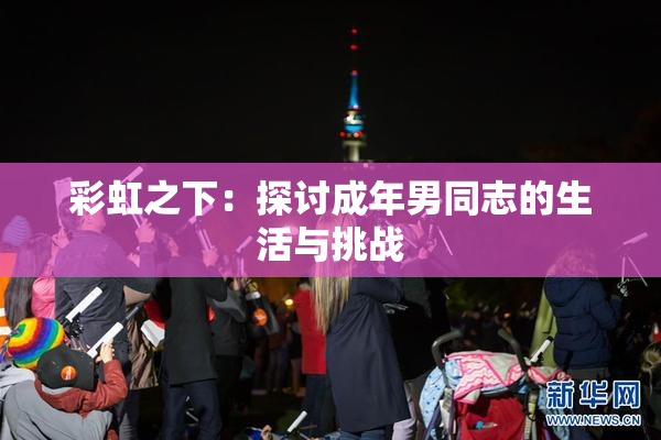 彩虹之下：探讨成年男同志的生活与挑战