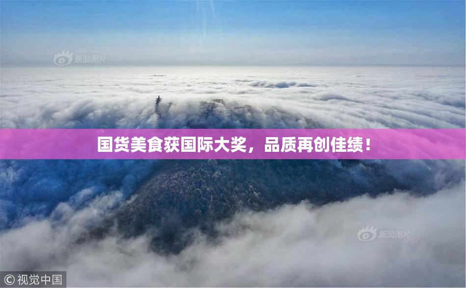国货美食获国际大奖，品质再创佳绩！