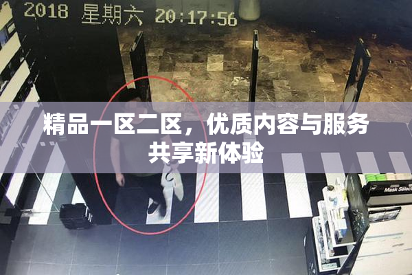 精品一区二区，优质内容与服务共享新体验
