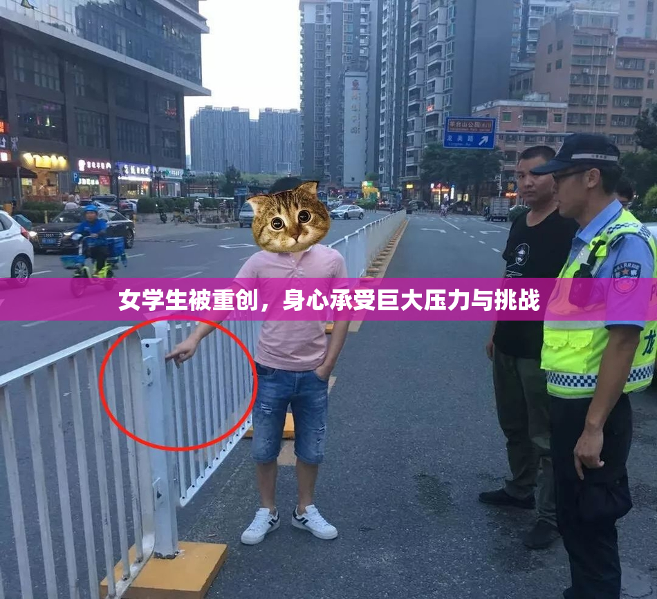 女学生被重创，身心承受巨大压力与挑战