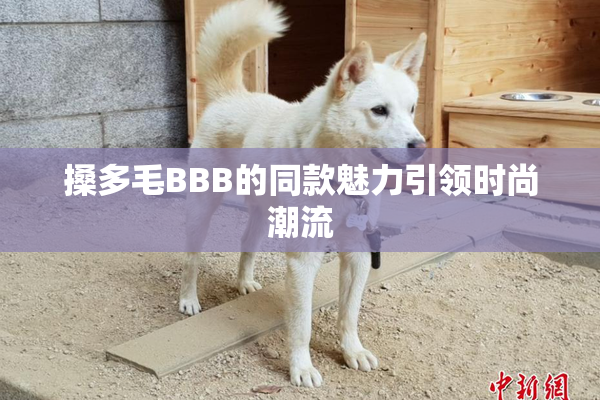 搡多毛BBB的同款魅力引领时尚潮流