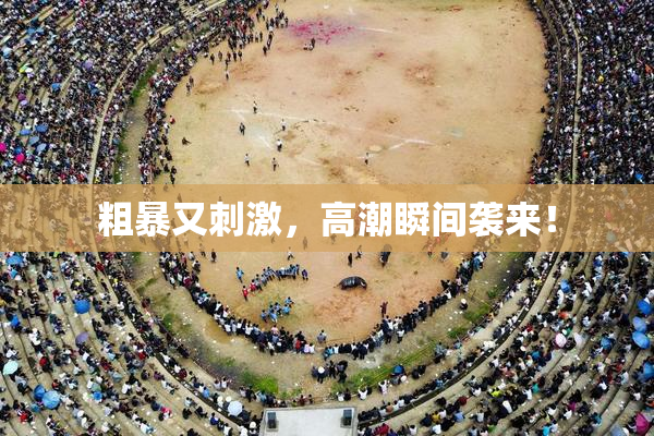 粗暴又刺激，高潮瞬间袭来！