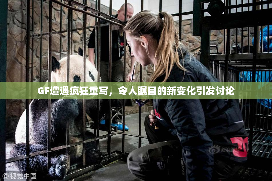 GF遭遇疯狂重写，令人瞩目的新变化引发讨论