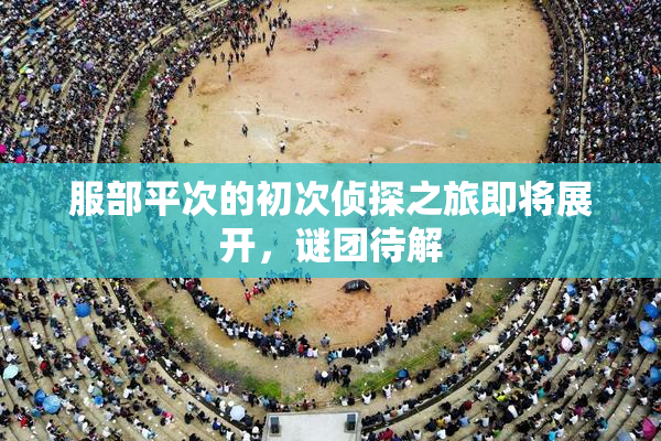 服部平次的初次侦探之旅即将展开，谜团待解