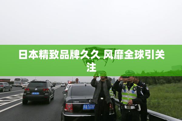 日本精致品牌久久 风靡全球引关注