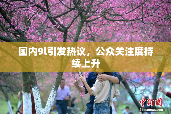 国内9l引发热议，公众关注度持续上升