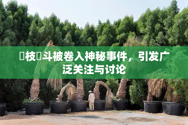 狛枝凪斗被卷入神秘事件，引发广泛关注与讨论