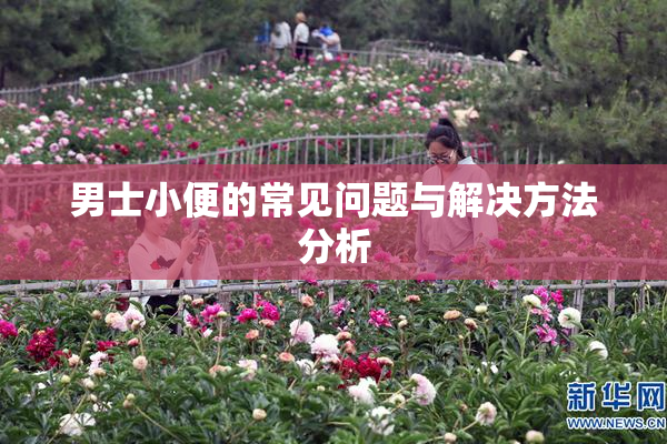 男士小便的常见问题与解决方法分析