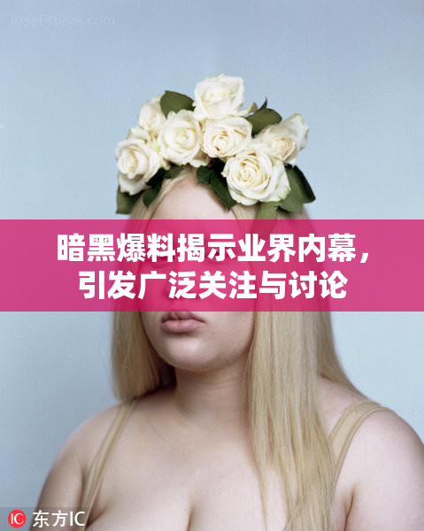 暗黑爆料揭示业界内幕，引发广泛关注与讨论