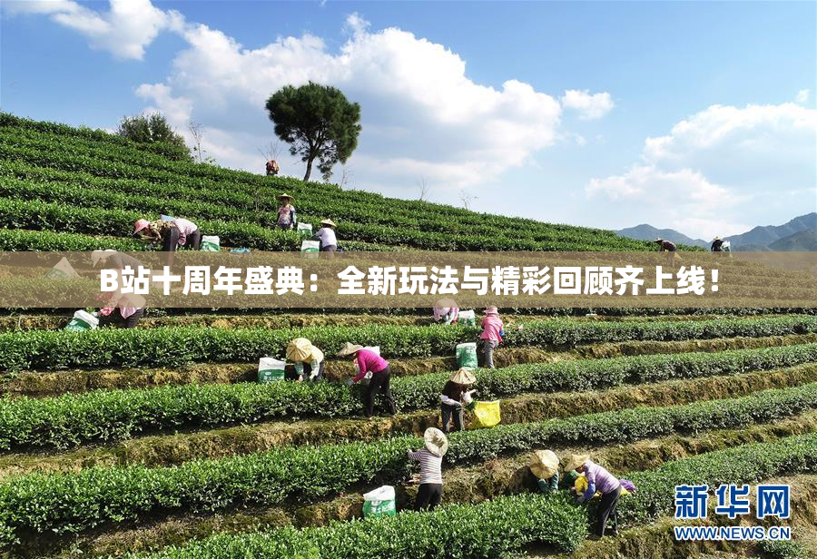 B站十周年盛典：全新玩法与精彩回顾齐上线！