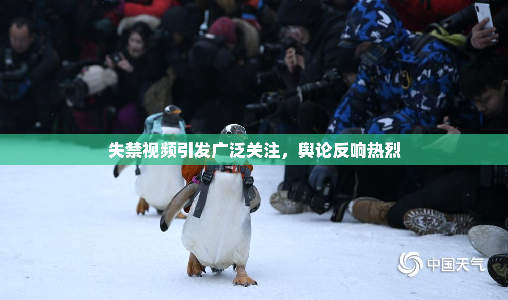 失禁视频引发广泛关注，舆论反响热烈