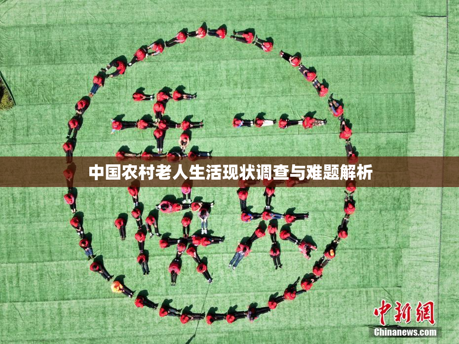 中国农村老人生活现状调查与难题解析