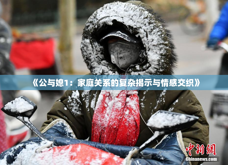 《公与媳1：家庭关系的复杂揭示与情感交织》