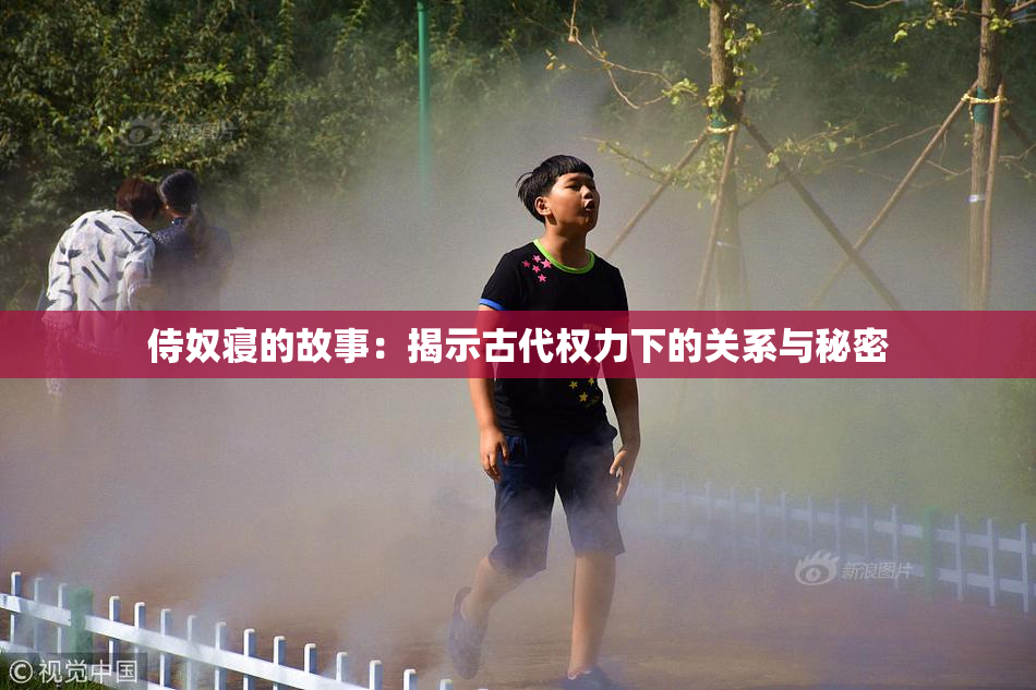 侍奴寝的故事：揭示古代权力下的关系与秘密