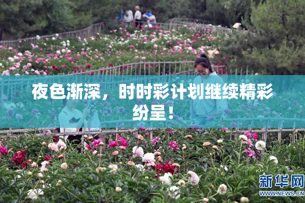 夜色渐深，时时彩计划继续精彩纷呈！
