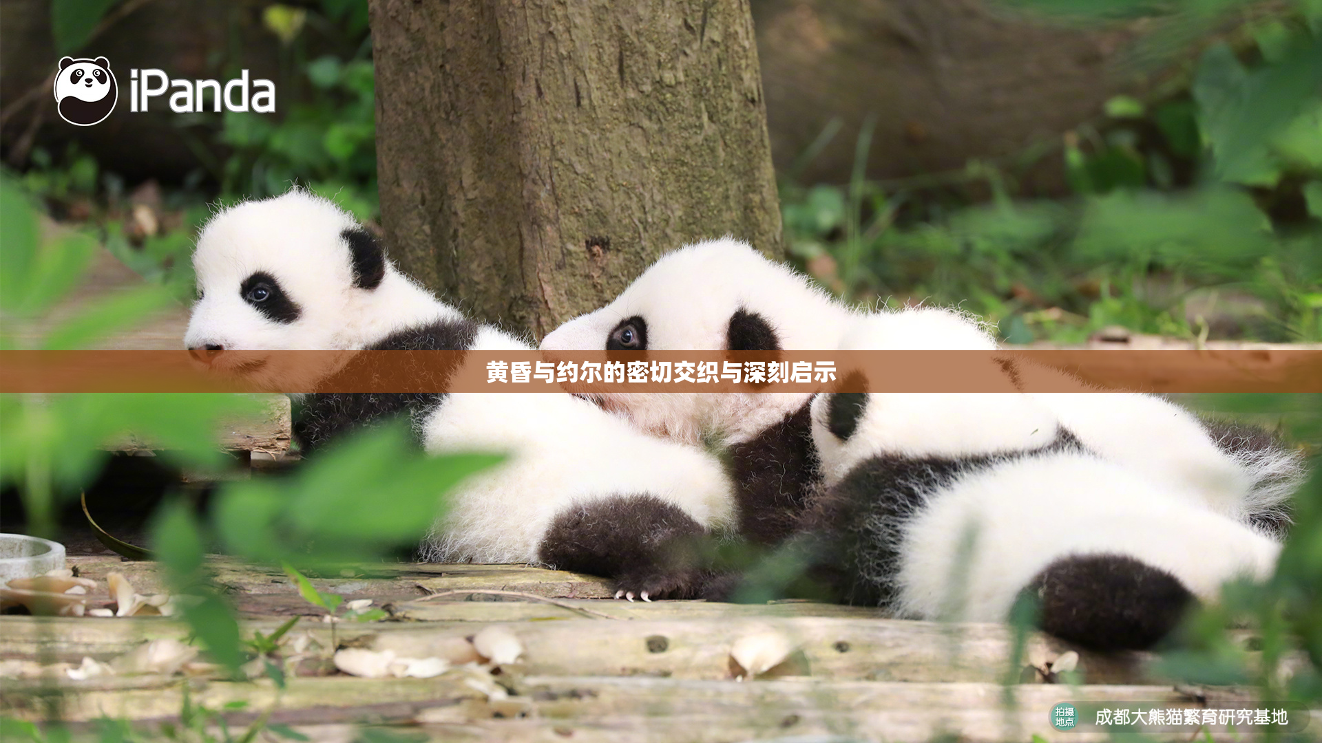 黄昏与约尔的密切交织与深刻启示
