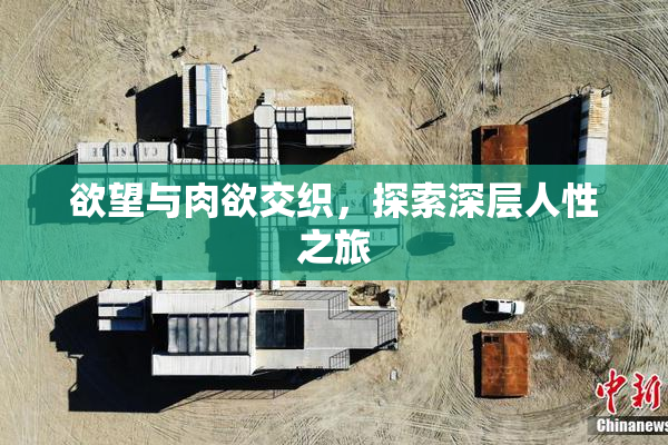 欲望与肉欲交织，探索深层人性之旅
