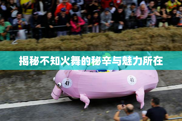 揭秘不知火舞的秘辛与魅力所在
