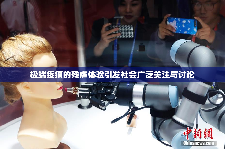 极端疼痛的残虐体验引发社会广泛关注与讨论