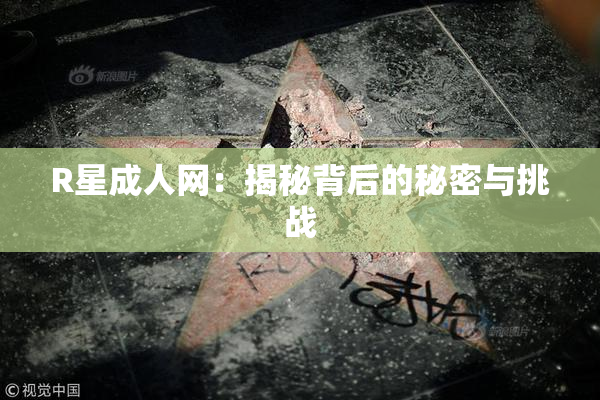 R星成人网：揭秘背后的秘密与挑战