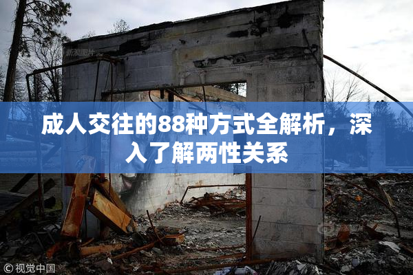 成人交往的88种方式全解析，深入了解两性关系