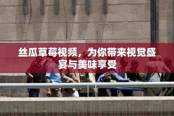 丝瓜草莓视频，为你带来视觉盛宴与美味享受