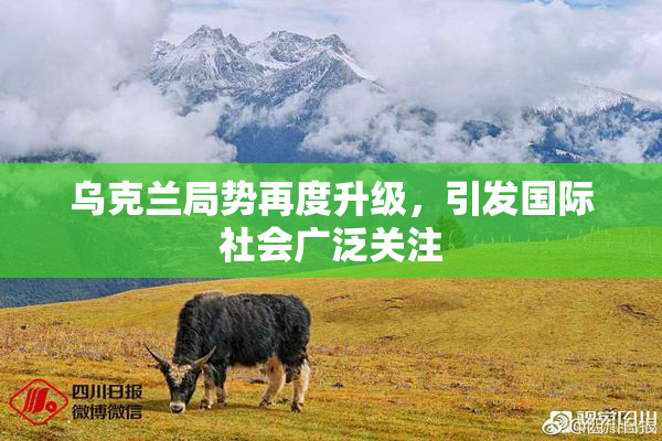 乌克兰局势再度升级，引发国际社会广泛关注