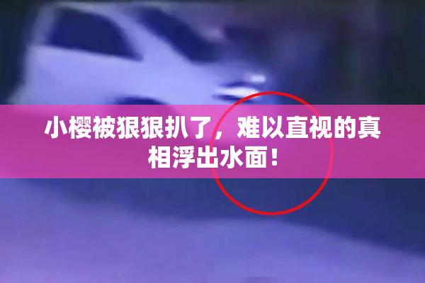 小樱被狠狠扒了，难以直视的真相浮出水面！