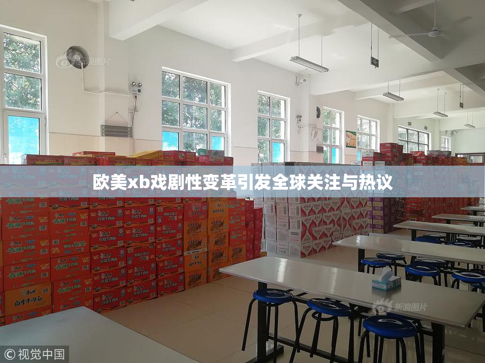 欧美xb戏剧性变革引发全球关注与热议