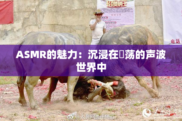 ASMR的魅力：沉浸在婬荡的声波世界中