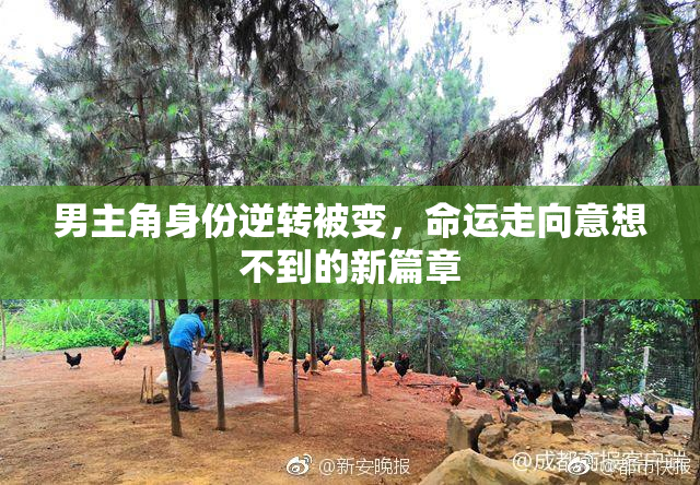 男主角身份逆转被变，命运走向意想不到的新篇章