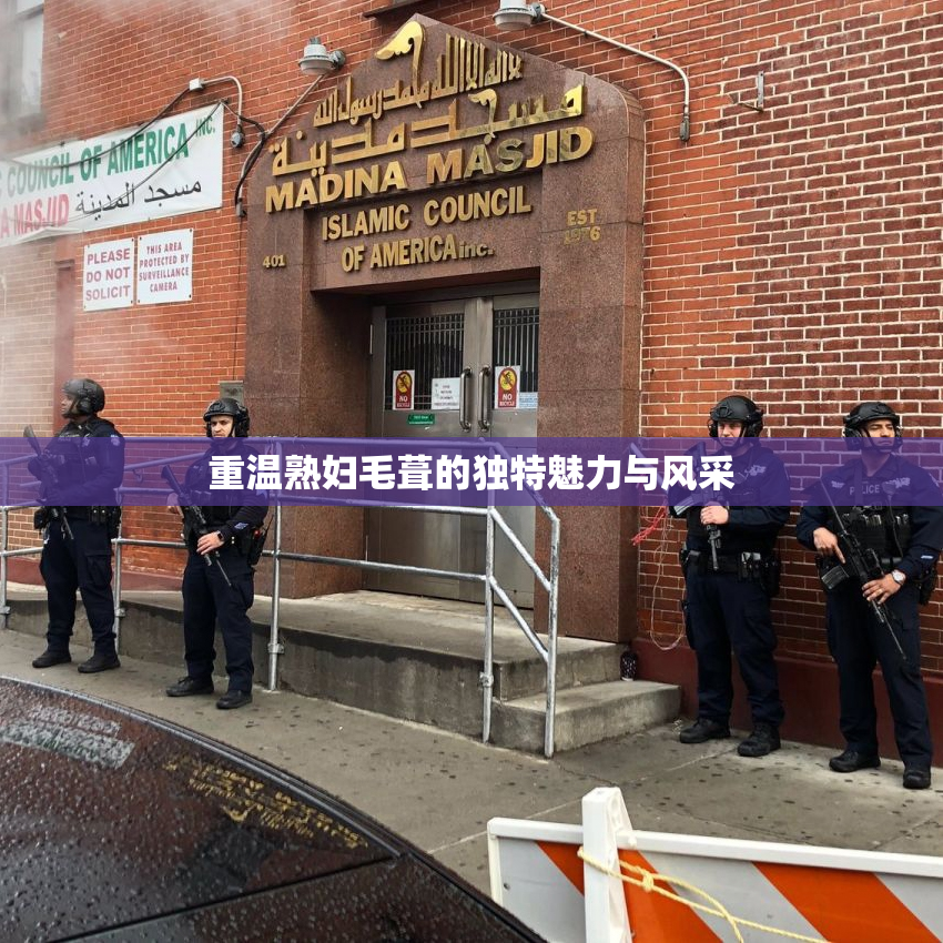 重温熟妇毛葺的独特魅力与风采