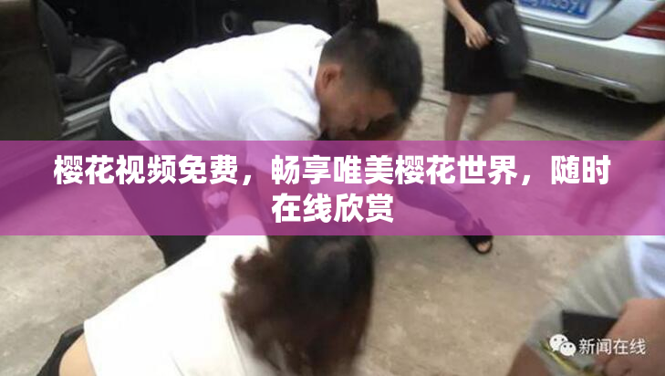 樱花视频免费，畅享唯美樱花世界，随时在线欣赏