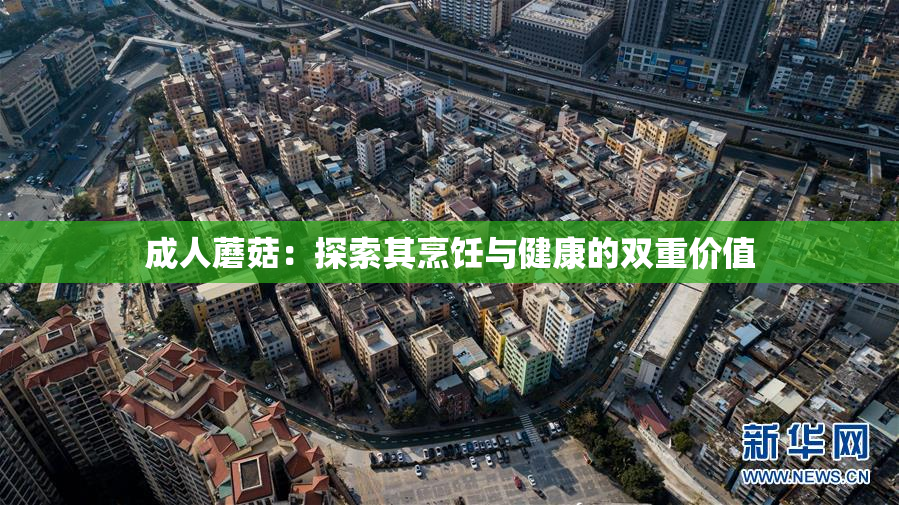 成人蘑菇：探索其烹饪与健康的双重价值