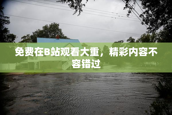 免费在B站观看大重，精彩内容不容错过
