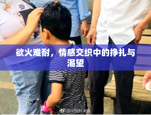 欲火难耐，情感交织中的挣扎与渴望