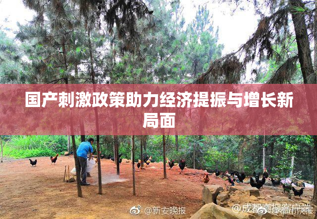 国产刺激政策助力经济提振与增长新局面