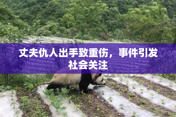 丈夫仇人出手致重伤，事件引发社会关注
