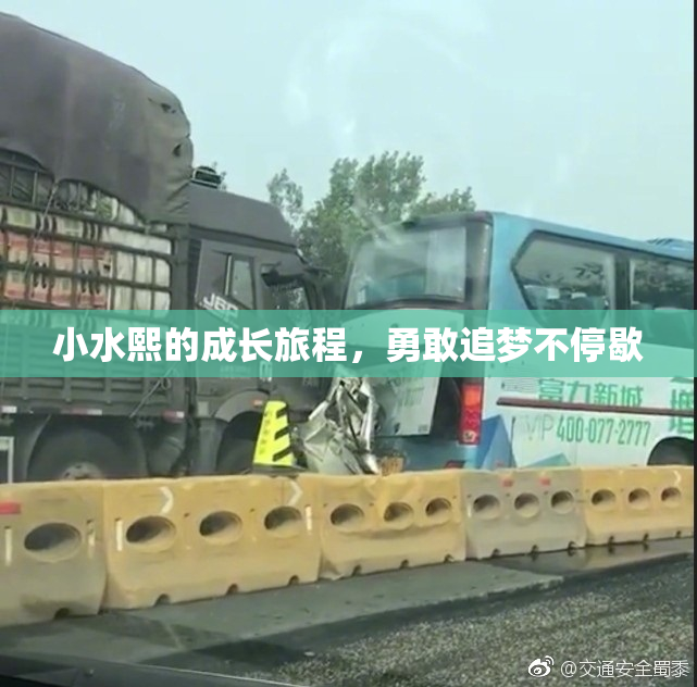 小水熙的成长旅程，勇敢追梦不停歇