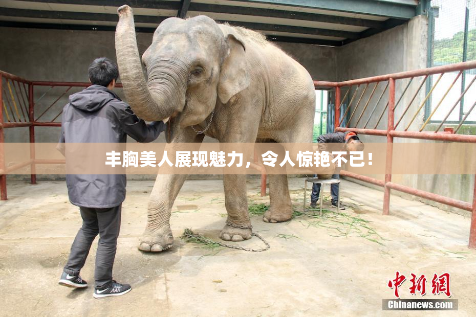 丰胸美人展现魅力，令人惊艳不已！