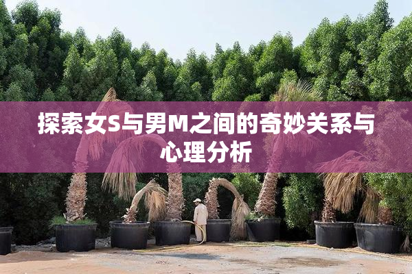 探索女S与男M之间的奇妙关系与心理分析