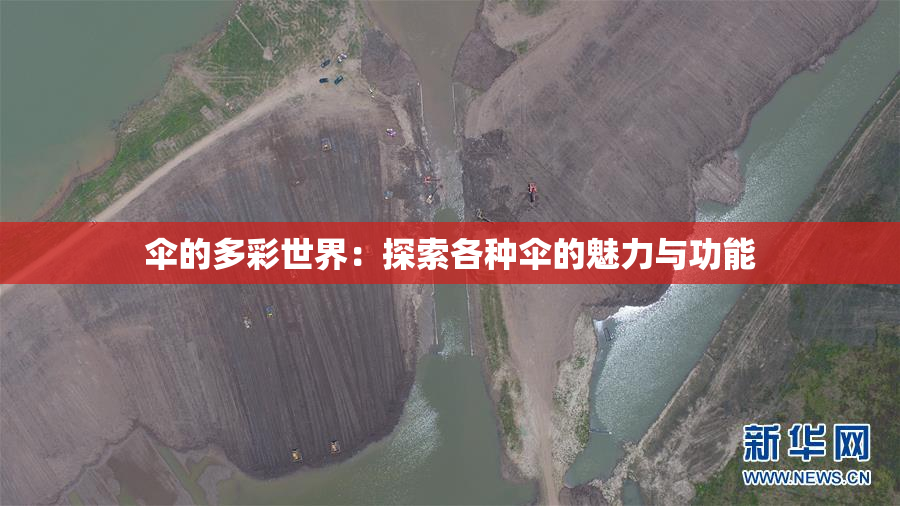 伞的多彩世界：探索各种伞的魅力与功能