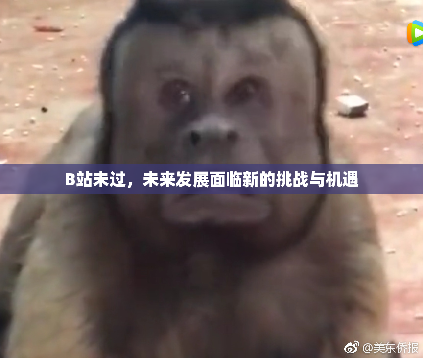 B站未过，未来发展面临新的挑战与机遇