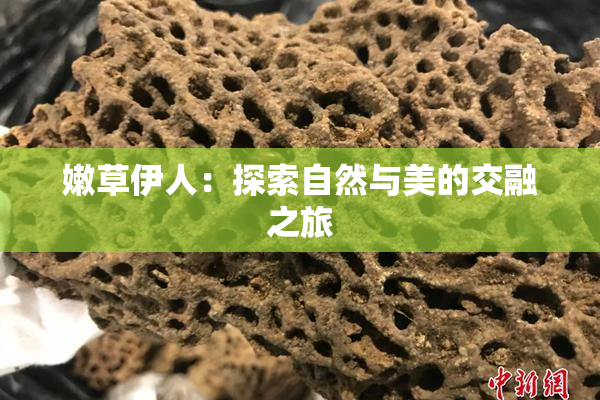 嫩草伊人：探索自然与美的交融之旅